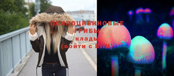ешки Абинск
